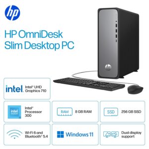 HP Omni Desk Slim Desktop PC S03-0112in